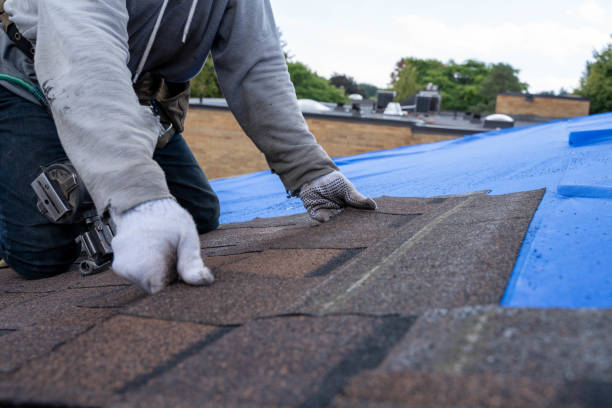 Best Roof Waterproofing Services  in Staples, MN