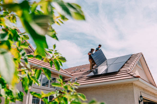 Best Roof Gutter Cleaning  in Staples, MN