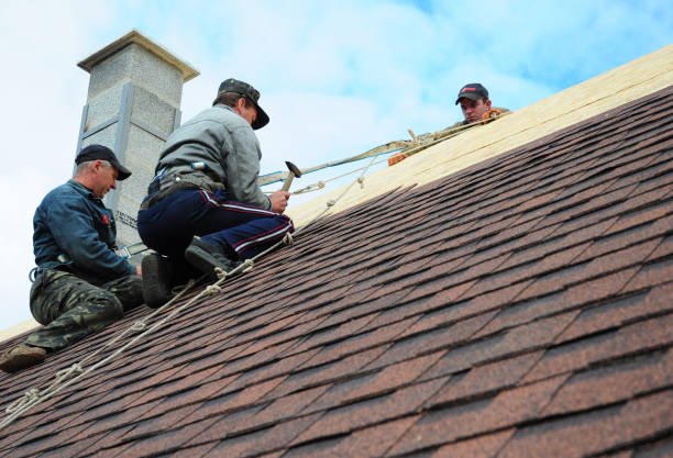 Quick and Trustworthy Emergency Roof Repair Services in Staples, MN