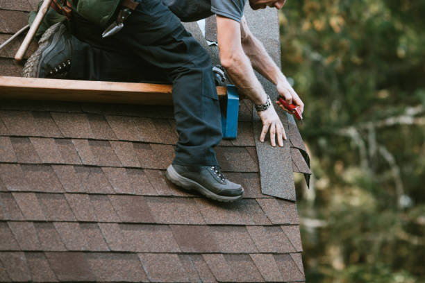 Best Storm Damage Roof Repair  in Staples, MN